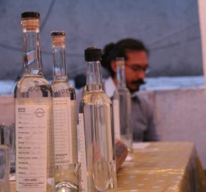cata de mezcal