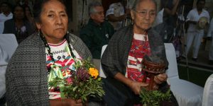 Mezcal para curar el alma