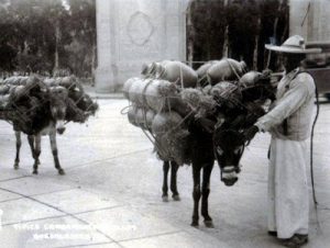 arriero