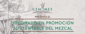Promoción sustentable del Mezcal