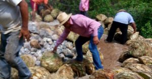 Horno de tierra