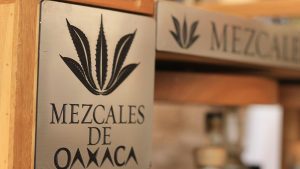 Diferencias entre tequila y mezcal