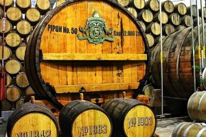 Diferencias entre el tequila y el mezcal