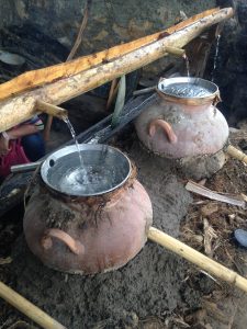 Diplomado en agaves y mezcales de México