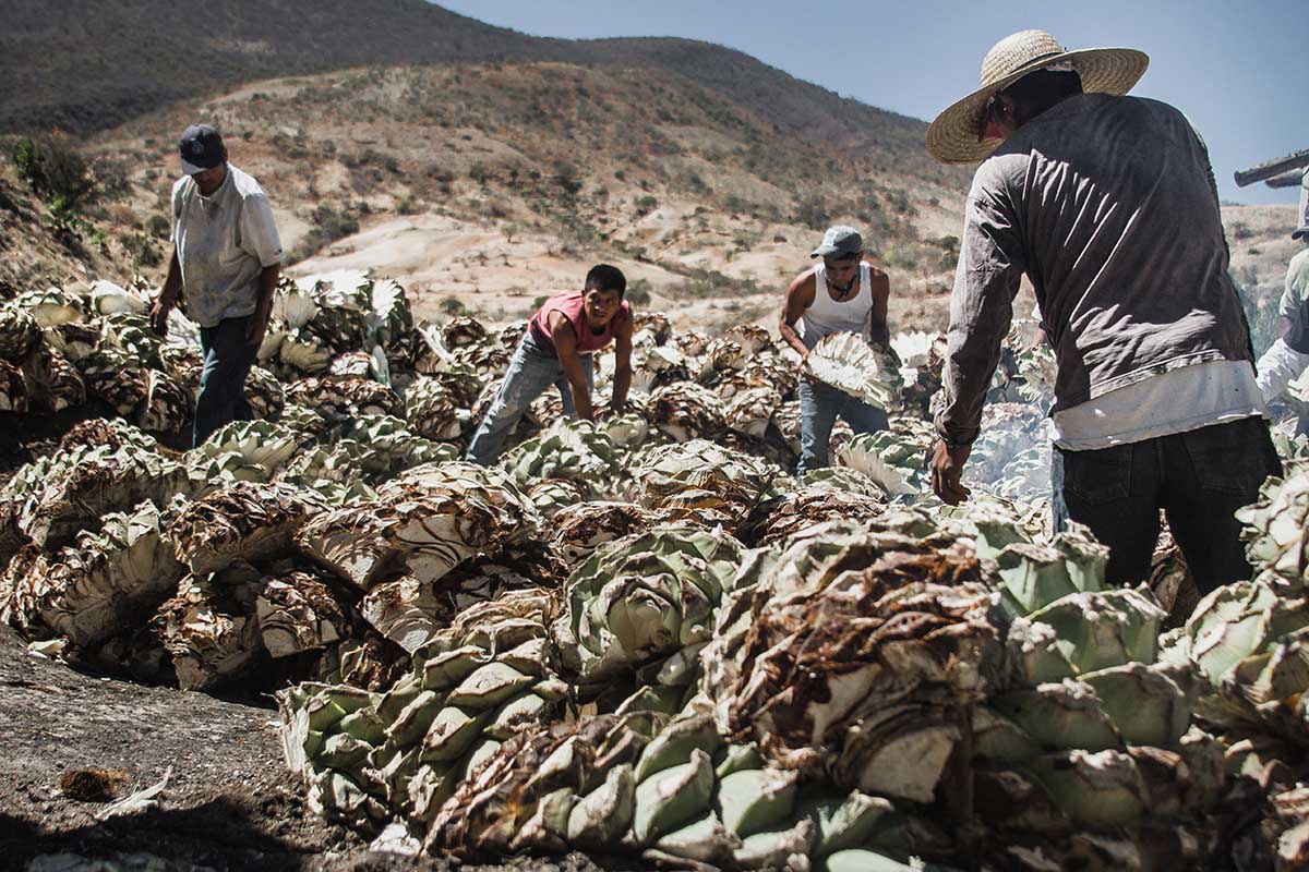 Maestros mezcaleros tradicionales y la NOM-070